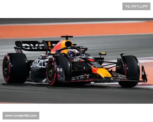 维斯塔潘虽未卫冕但下半赛季表现堪称典范，未来仍具统治力